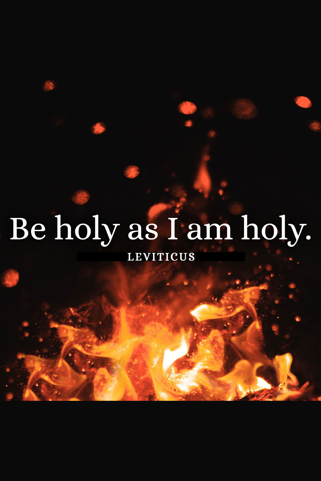 Leviticus – the story so far